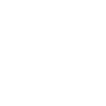 phone-icon